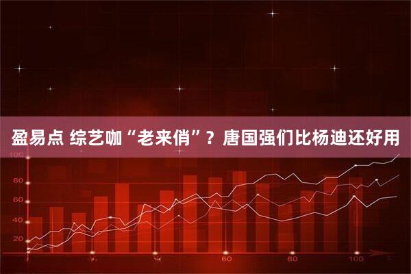 盈易点 综艺咖“老来俏”？唐国强们比杨迪还好用