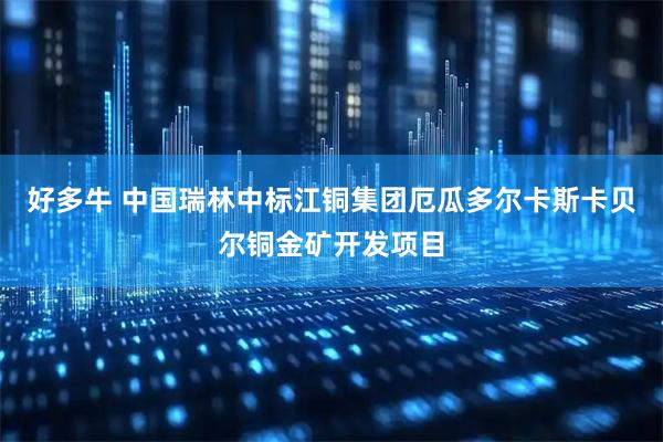 好多牛 中国瑞林中标江铜集团厄瓜多尔卡斯卡贝尔铜金矿开发项目